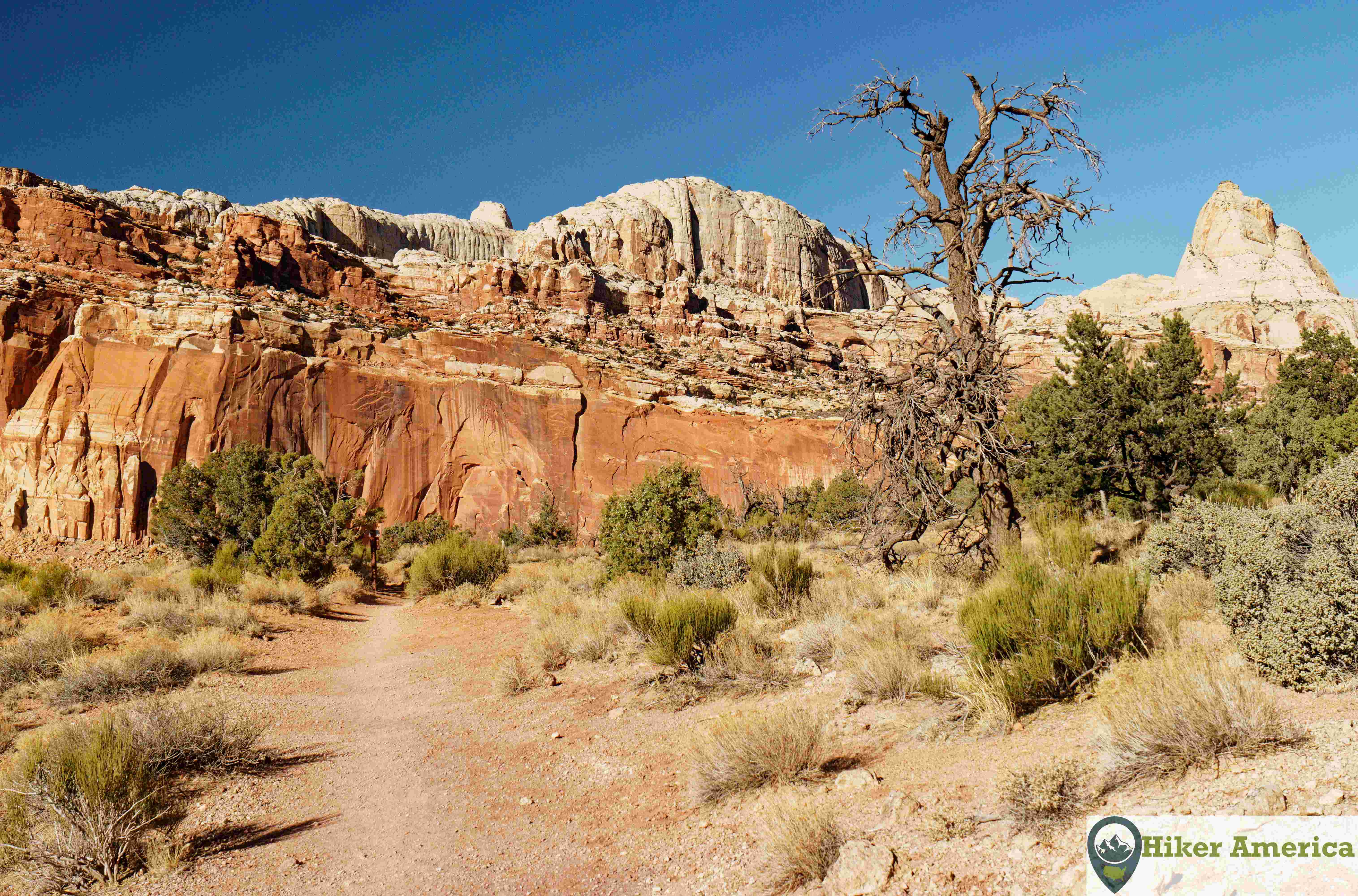 A flat area on the hike with views.